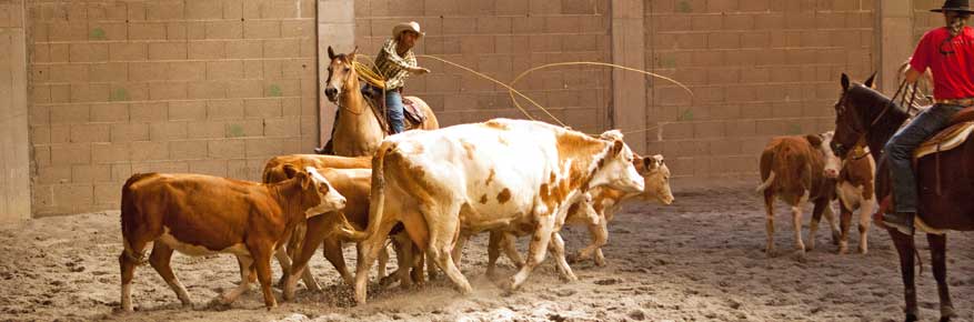 RanchRopingAguilar1